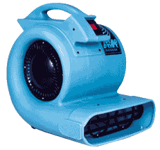 Carpet and Floor Dryers